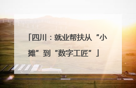 四川：就业帮扶从“小摊”到“数字工匠”