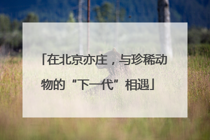 在北京亦庄，与珍稀动物的“下一代”相遇