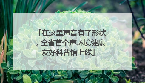 在这里声音有了形状，全省首个声环境健康友好科普馆上线