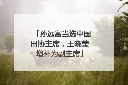 孙远富当选中国田协主席，王晓莹增补为副主席
