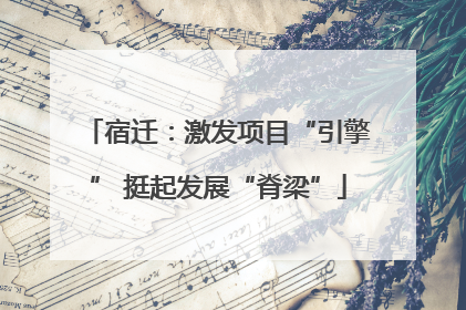 宿迁：激发项目“引擎” 挺起发展“脊梁”