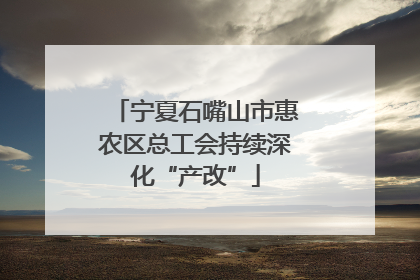 宁夏石嘴山市惠农区总工会持续深化“产改”