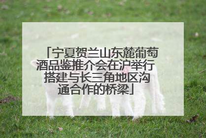 宁夏贺兰山东麓葡萄酒品鉴推介会在沪举行 搭建与长三角地区沟通合作的桥梁