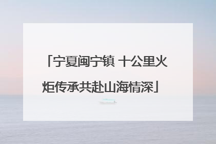 宁夏闽宁镇 十公里火炬传承共赴山海情深