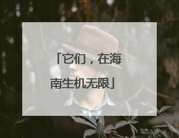 它们，在海南生机无限