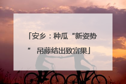 安乡：种瓜“新姿势” 吊藤结出致富果