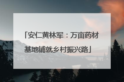 安仁黄林军：万亩药材基地铺就乡村振兴路