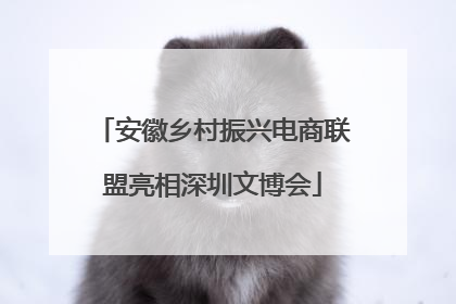 安徽乡村振兴电商联盟亮相深圳文博会