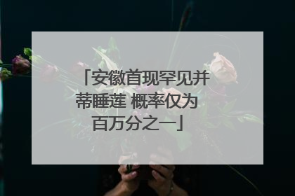 安徽首现罕见并蒂睡莲 概率仅为百万分之一