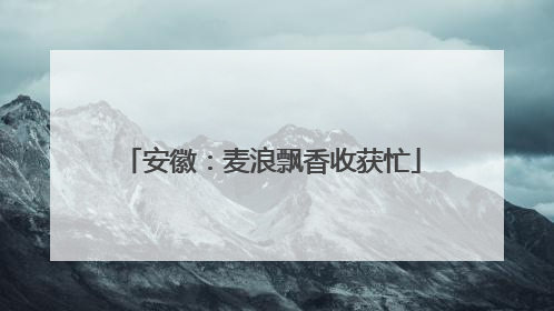安徽：麦浪飘香收获忙