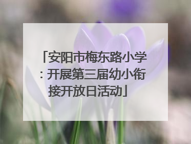 安阳市梅东路小学：开展第三届幼小衔接开放日活动