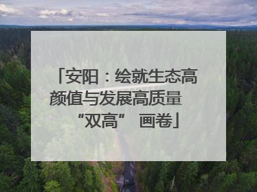 安阳：绘就生态高颜值与发展高质量 “双高” 画卷