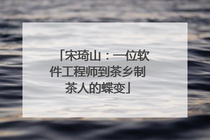 宋琦山：一位软件工程师到茶乡制茶人的蝶变