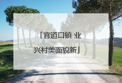 官道口镇 业兴村美面貌新