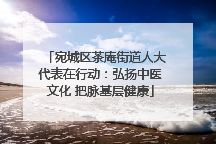 宛城区茶庵街道人大代表在行动：弘扬中医文化 把脉基层健康