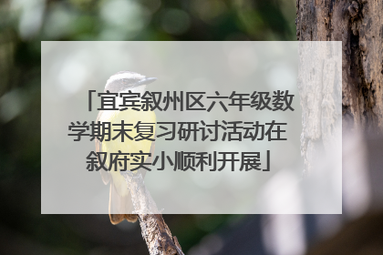 宜宾叙州区六年级数学期末复习研讨活动在叙府实小顺利开展