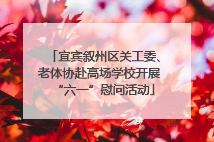 宜宾叙州区关工委、老体协赴高场学校开展“六一”慰问活动