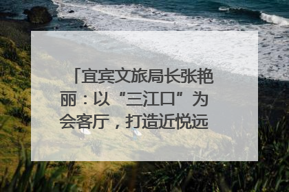 宜宾文旅局长张艳丽：以“三江口”为会客厅，打造近悦远来的国际旅游城市｜文旅局长说
