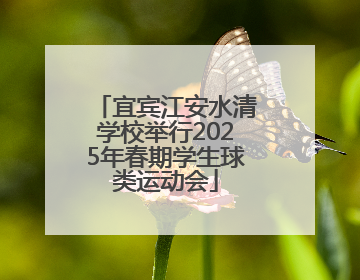 宜宾江安水清学校举行2025年春期学生球类运动会