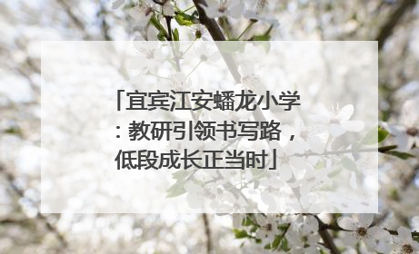 宜宾江安蟠龙小学：教研引领书写路，低段成长正当时