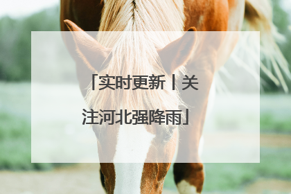 实时更新丨关注河北强降雨
