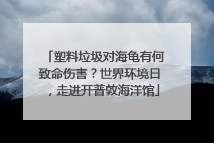 塑料垃圾对海龟有何致命伤害？世界环境日，走进开普敦海洋馆