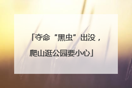 夺命“黑虫”出没，爬山逛公园要小心