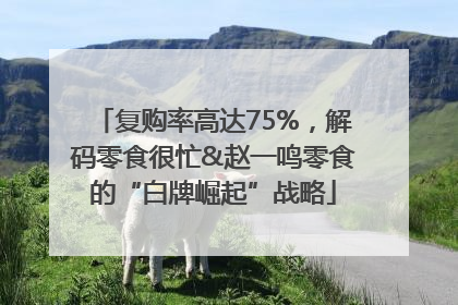 复购率高达75%，解码零食很忙&赵一鸣零食的“白牌崛起”战略