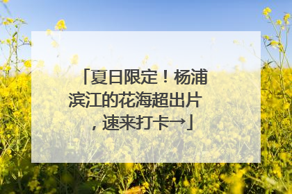 夏日限定！杨浦滨江的花海超出片，速来打卡→