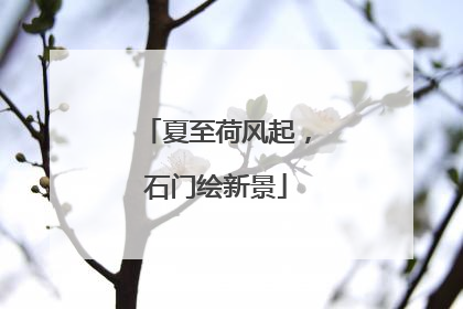 夏至荷风起，石门绘新景