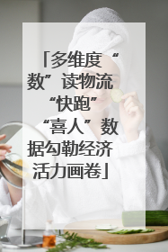 多维度“数”读物流“快跑” “喜人”数据勾勒经济活力画卷