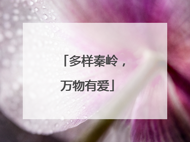 多样秦岭，万物有爱