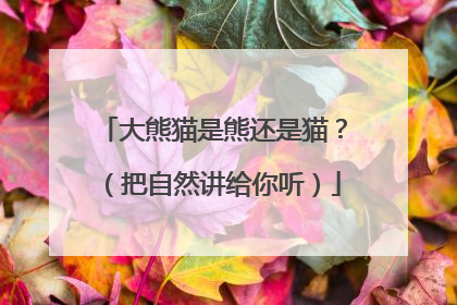 大熊猫是熊还是猫？（把自然讲给你听）