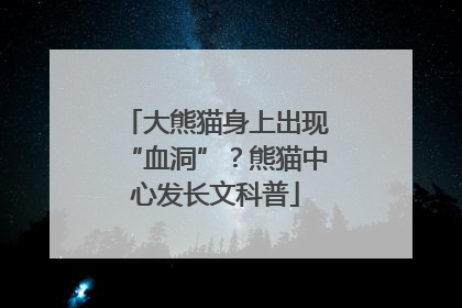大熊猫身上出现“血洞”？熊猫中心发长文科普
