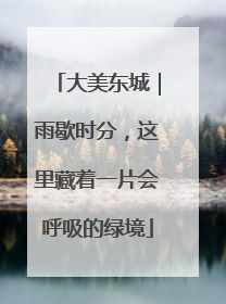 大美东城｜雨歇时分，这里藏着一片会呼吸的绿境