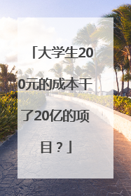 大学生200元的成本干了20亿的项目？