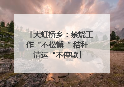 大虹桥乡：禁烧工作“不松懈“ 秸秆清运“不停歇