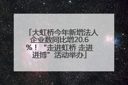 大虹桥今年新增法人企业数同比增20.6%！“走进虹桥 走进进博”活动举办
