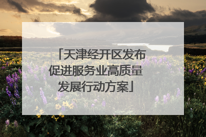 天津经开区发布促进服务业高质量发展行动方案