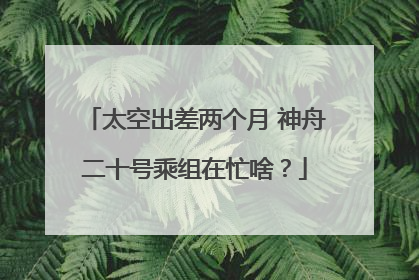 太空出差两个月 神舟二十号乘组在忙啥？