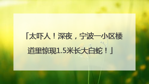太吓人！深夜，宁波一小区楼道里惊现1.5米长大白蛇！