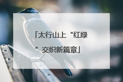 太行山上“红绿”交织新篇章