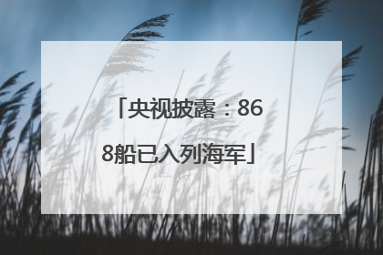 央视披露：868船已入列海军