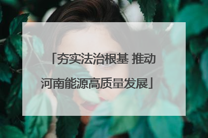夯实法治根基 推动河南能源高质量发展