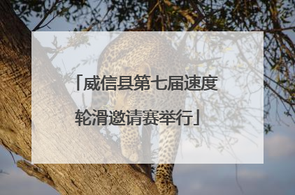 威信县第七届速度轮滑邀请赛举行