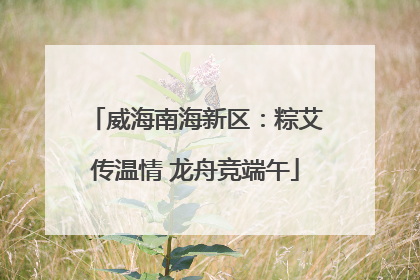 威海南海新区：粽艾传温情 龙舟竞端午