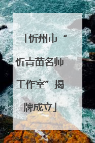 忻州市“忻青苗名师工作室”揭牌成立
