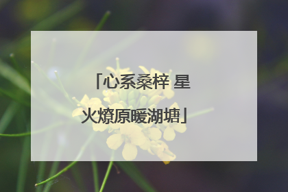 心系桑梓 星火燎原暖湖塘