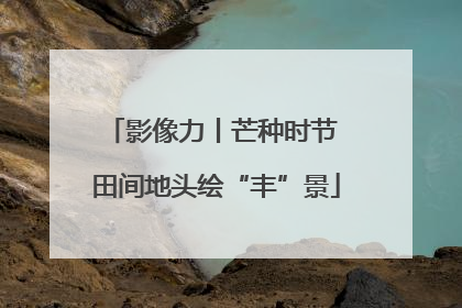影像力丨芒种时节 田间地头绘“丰”景