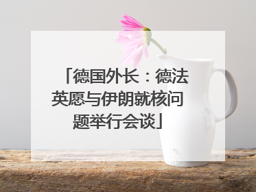 德国外长：德法英愿与伊朗就核问题举行会谈